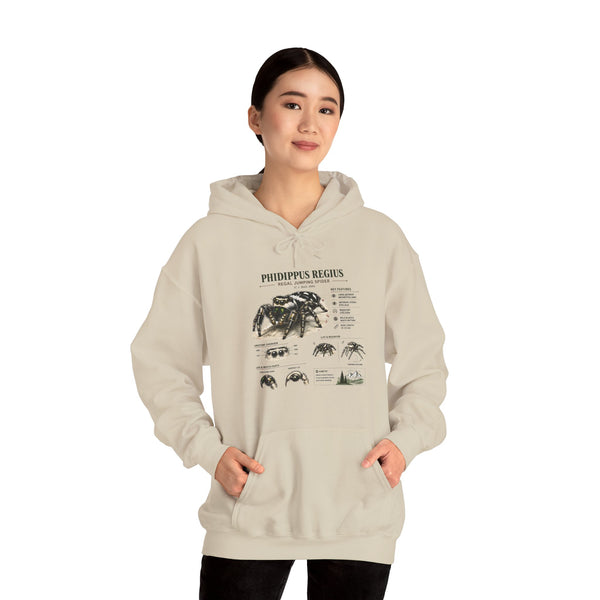 Tarantula Species Hoodie — Phidippus Regius Educational Spider Sweatshirt