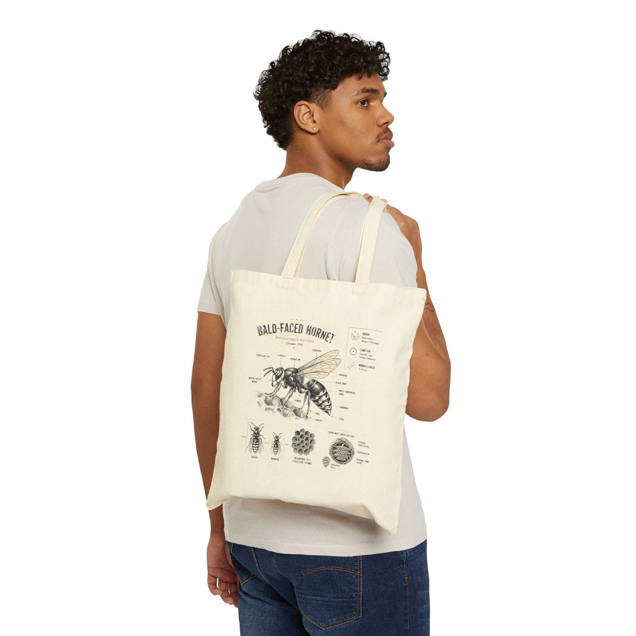 Bald-Faced Hornet Anatomy Cotton Tote Bag — Vintage Entomology Illustration Secondary image