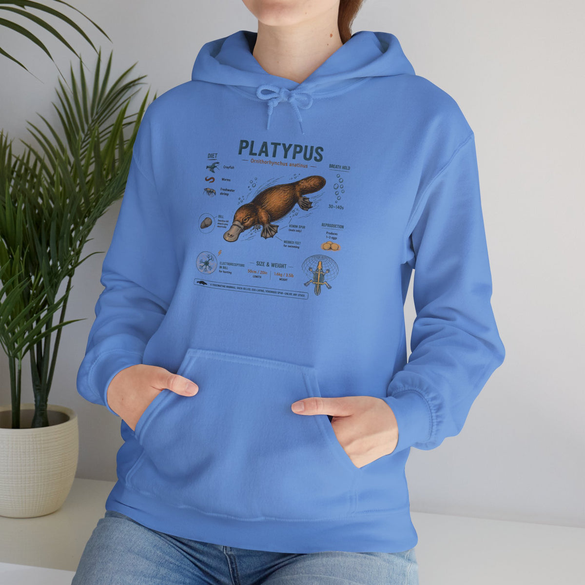 Platypus Anatomy Hoodie — Scientific Illustration Pullover for Nature Lovers