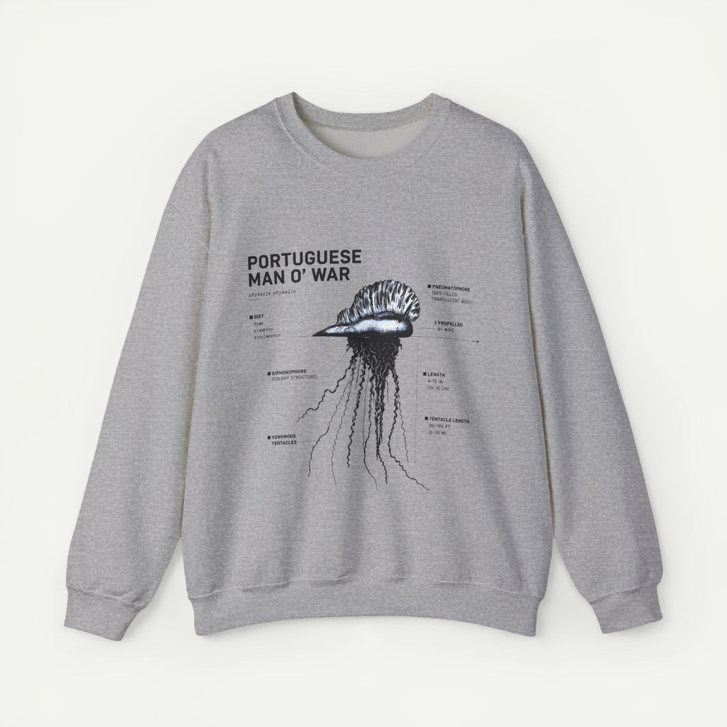 Portuguese Man O' War Anatomy Sweatshirt