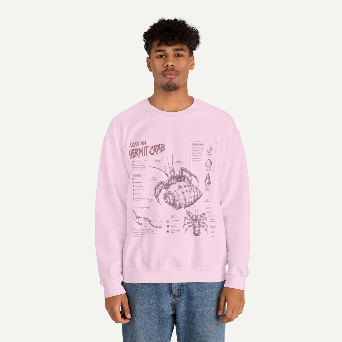 Hermit Crab Anatomy Sweatshirt — Acadian Hermit Crab Illustration