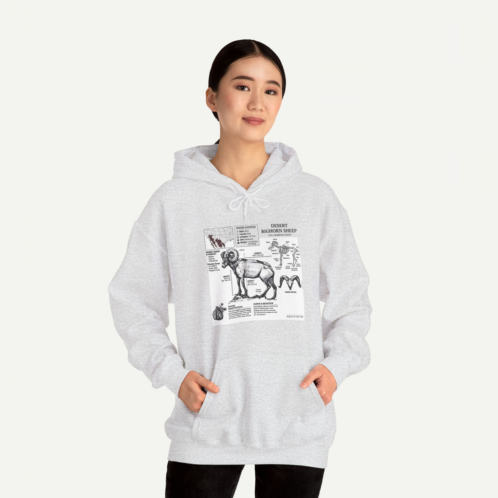 Dog Anatomy Hoodie – Vintage Canine Diagram Sweatshirt