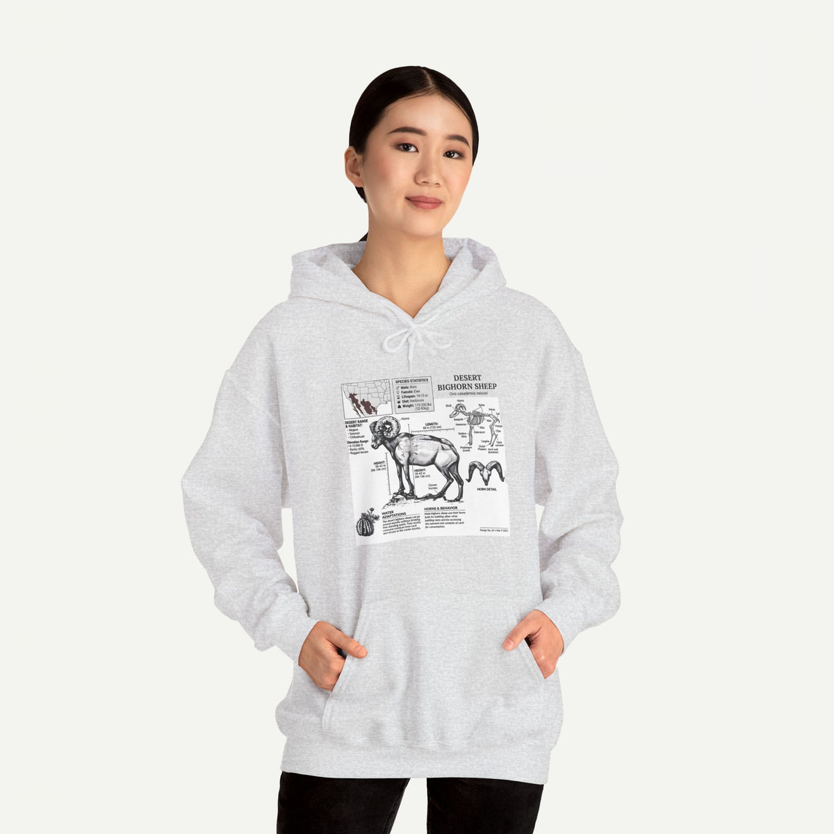 Dog Anatomy Hoodie – Vintage Canine Diagram Sweatshirt