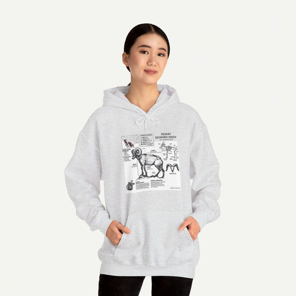 Dog Anatomy Hoodie – Vintage Canine Diagram Sweatshirt