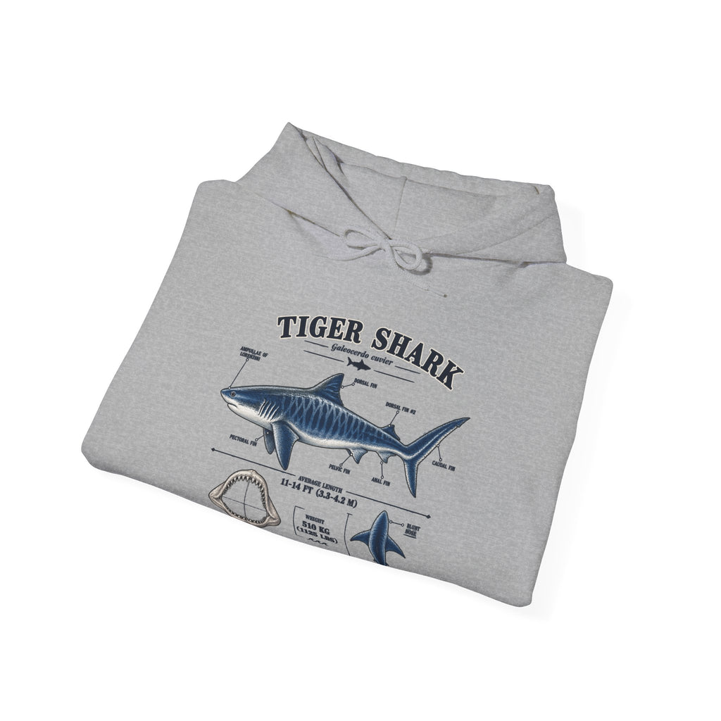 Tiger Shark Anatomy Hoodie — Nautical Science Graphic Pullover