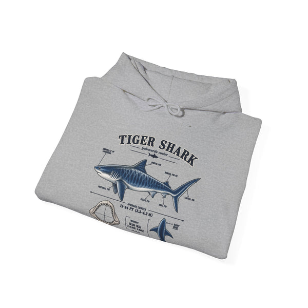 Tiger Shark Anatomy Hoodie — Nautical Science Graphic Pullover