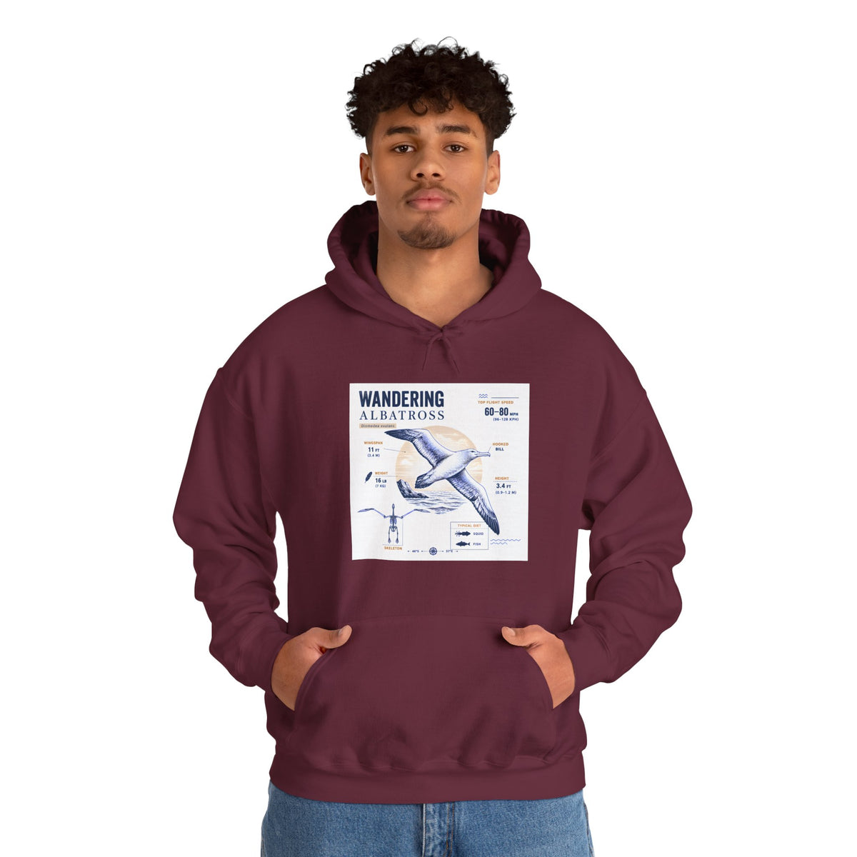 Wandering Albatross Hoodie — Illustrated Sea Bird Anatomy Pullover