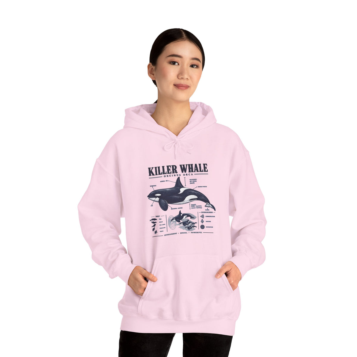 Killer Whale Anatomy Hoodie — Orca Scientific Diagram Sweatshirt