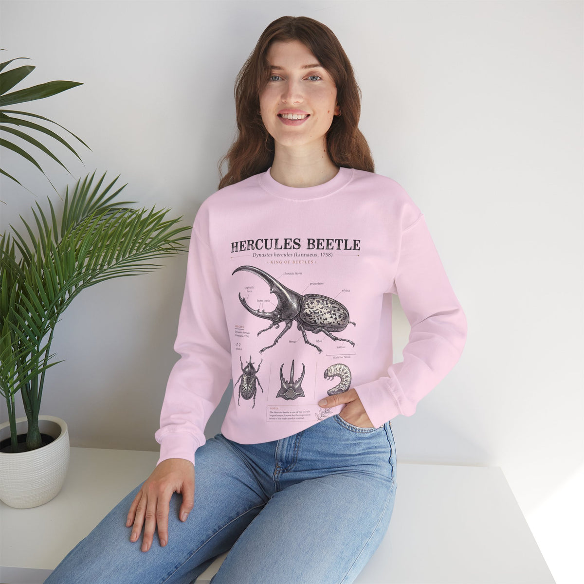 Hercules Beetle Anatomy  Crewneck Sweatshirt – Vintage Entomology Graphic