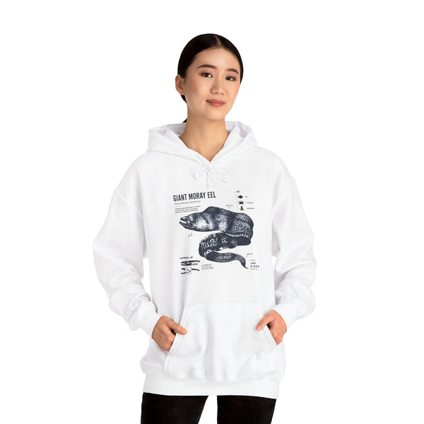 Sea Snake Diagram Hoodie - Vintage Scientific Illustration Sweatshirt