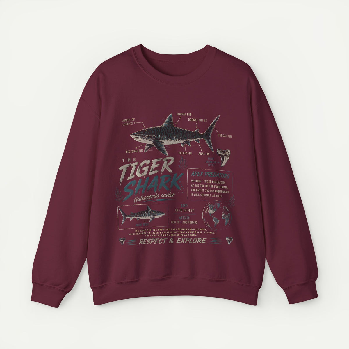 Tiger Shark Anatomy Sweatshirt — Marine Biology Graphic Crewneck