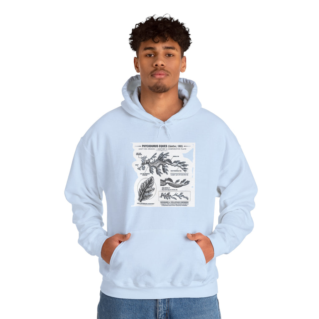 Botanical Anatomy Hoodie — Vintage Plant Diagram Sweatshirt