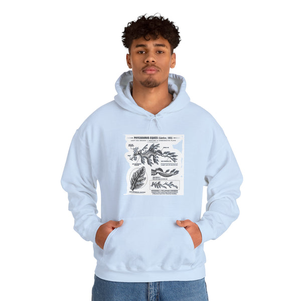 Botanical Anatomy Hoodie — Vintage Plant Diagram Sweatshirt