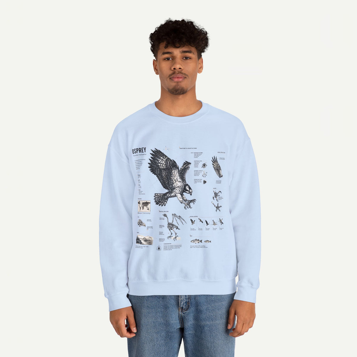 Osprey Anatomy Sweatshirt — Illustrated Bird Guide Pullover