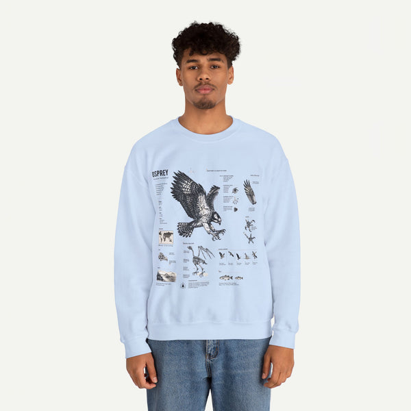 Osprey Anatomy Sweatshirt — Illustrated Bird Guide Pullover