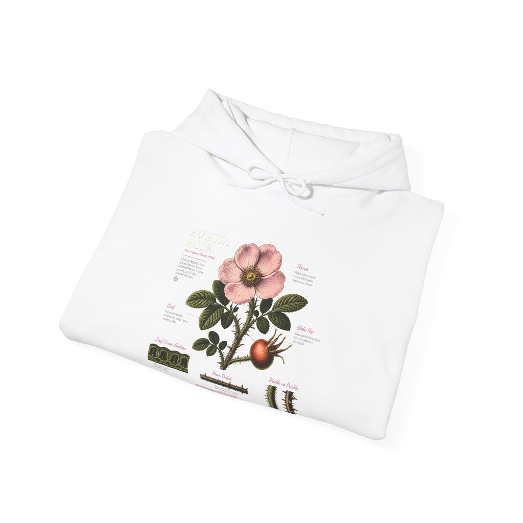 Vintage Botanical Hoodie — Rose Diagram Print