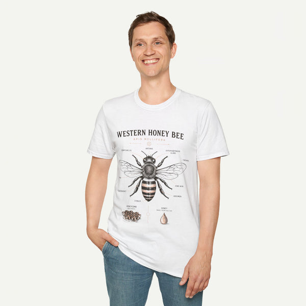 Western Honey Bee Illustration T-Shirt — Apis Mellifera Vintage Bee Anatomy Tee