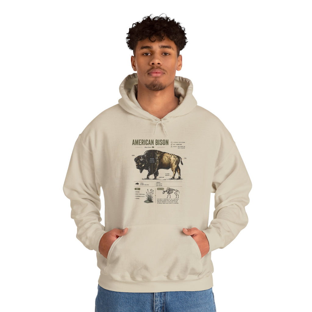 Bison Anatomy Hoodie — American Bison Illustration & Facts Sweatshirt