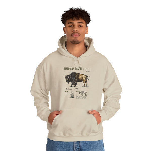 Bison Anatomy Hoodie — American Bison Illustration & Facts Sweatshirt