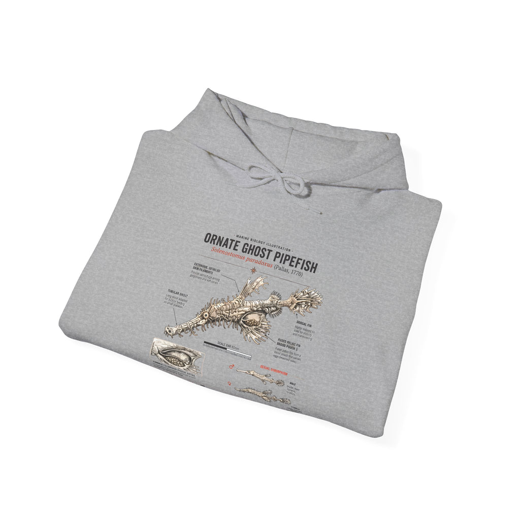 Ornate Ghost Pipefish Anatomy Hoodie — Scientific Diagram Pullover