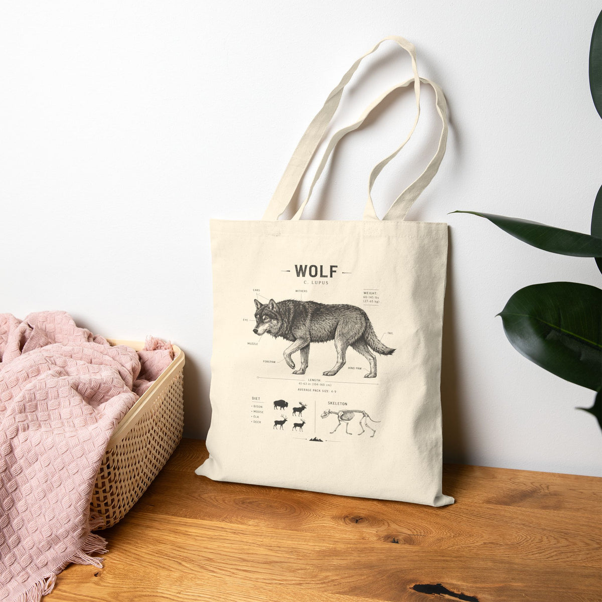 Wolf Anatomy Canvas Tote — Vintage Scientific Illustration Eco Grocery Bag