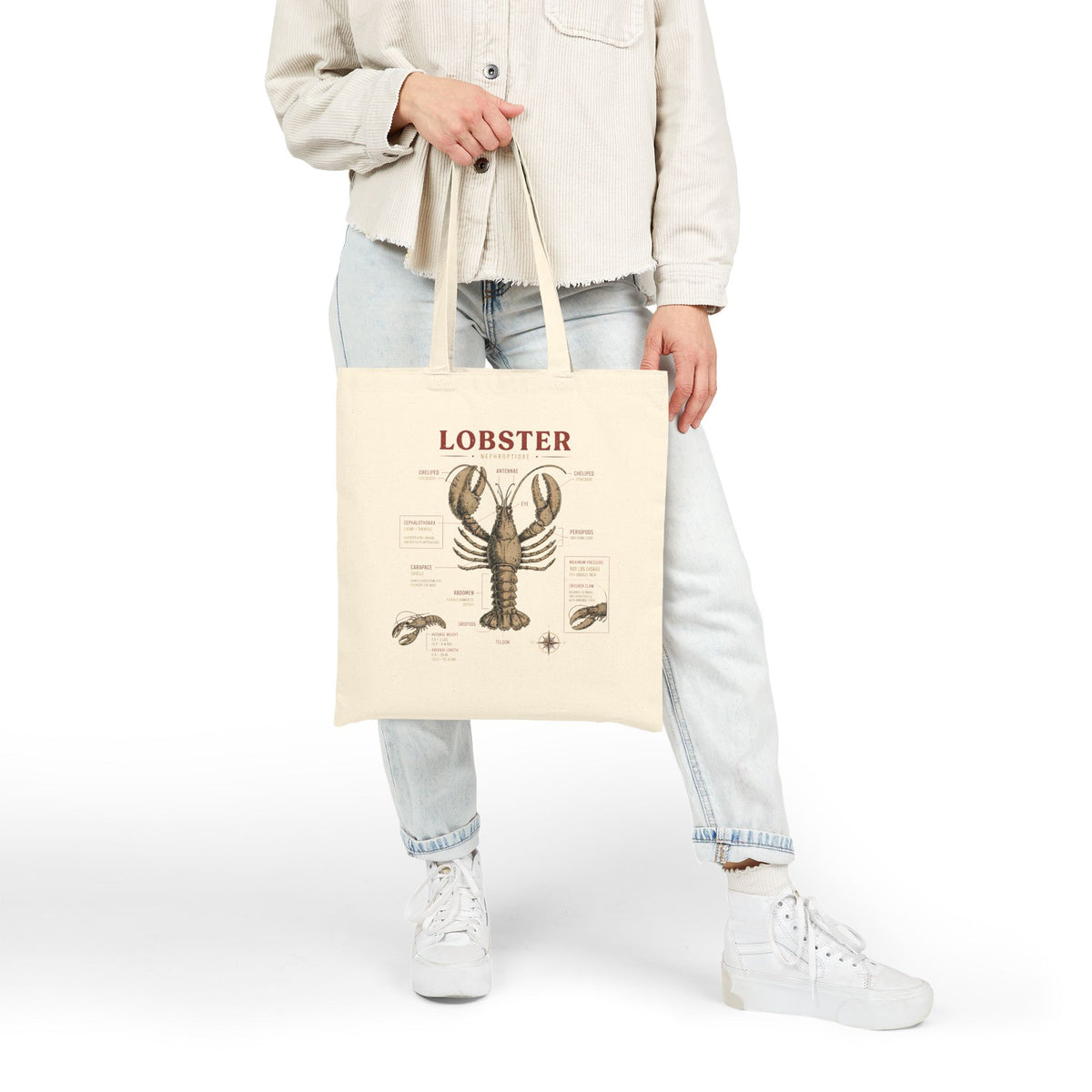 Lobster Anatomy Canvas Tote Bag — Vintage Seafood Illustration Grocery Market Tote