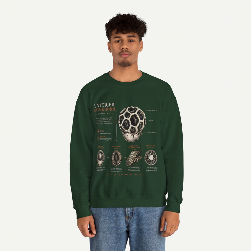 Mushroom Anatomy Sweatshirt – Latticeed Stinkhorn Mycology Crewneck