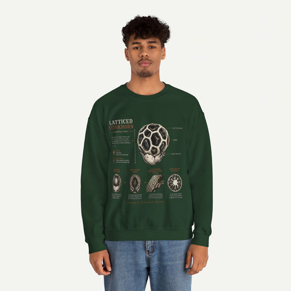 Mushroom Anatomy Sweatshirt – Latticeed Stinkhorn Mycology Crewneck