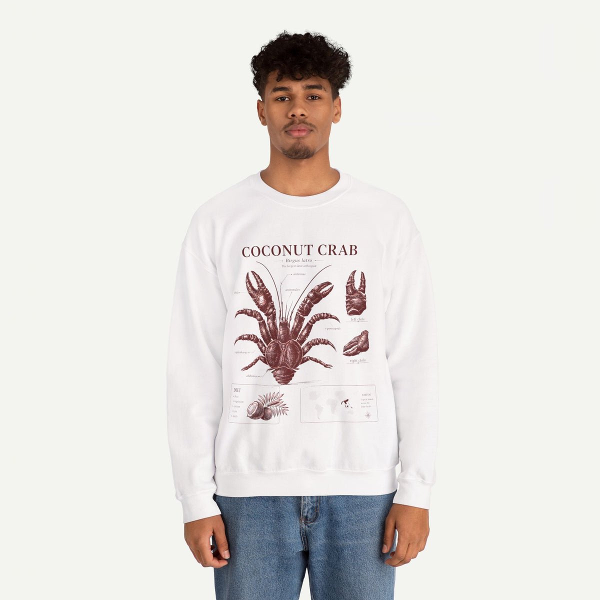 Coconut Crab Anatomy Crewneck Sweatshirt