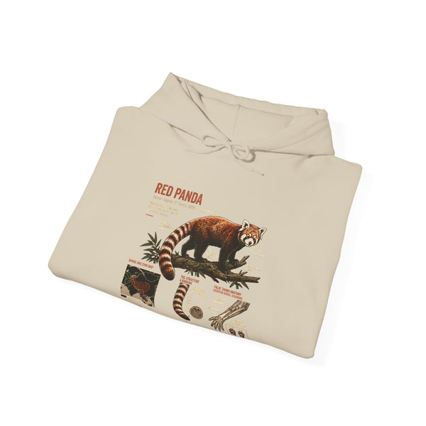 Red Panda Anatomy Hoodie — Vintage Wildlife Guide Sweatshirt
