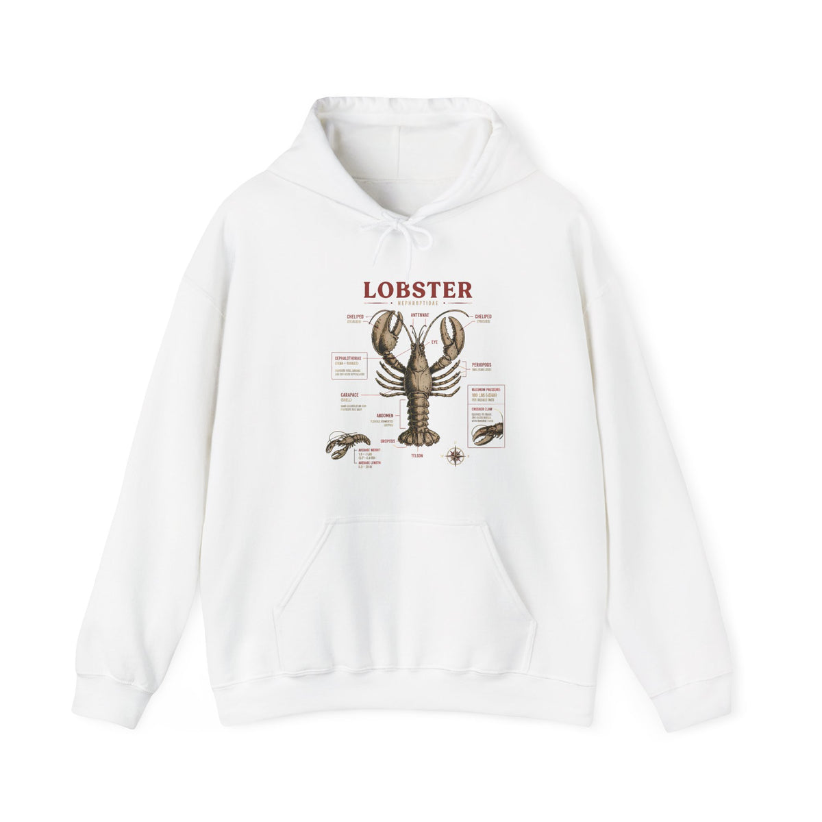 Lobster Anatomy Hoodie – Nautical Seafood Illustration Pullover