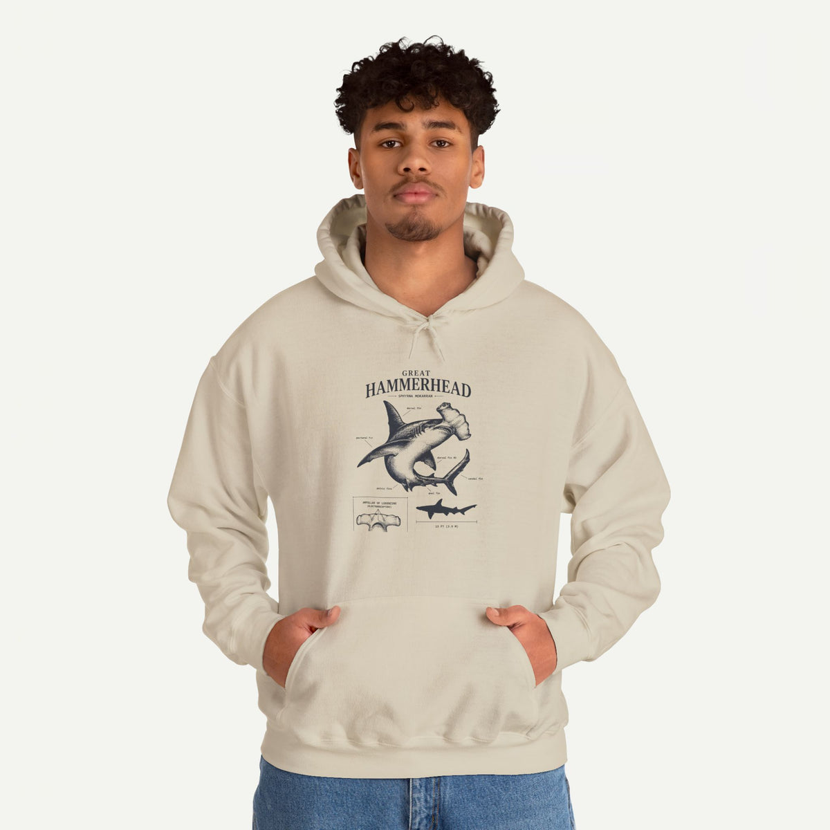 Hammerhead Shark Anatomy Hoodie – Marine Biology Graphic