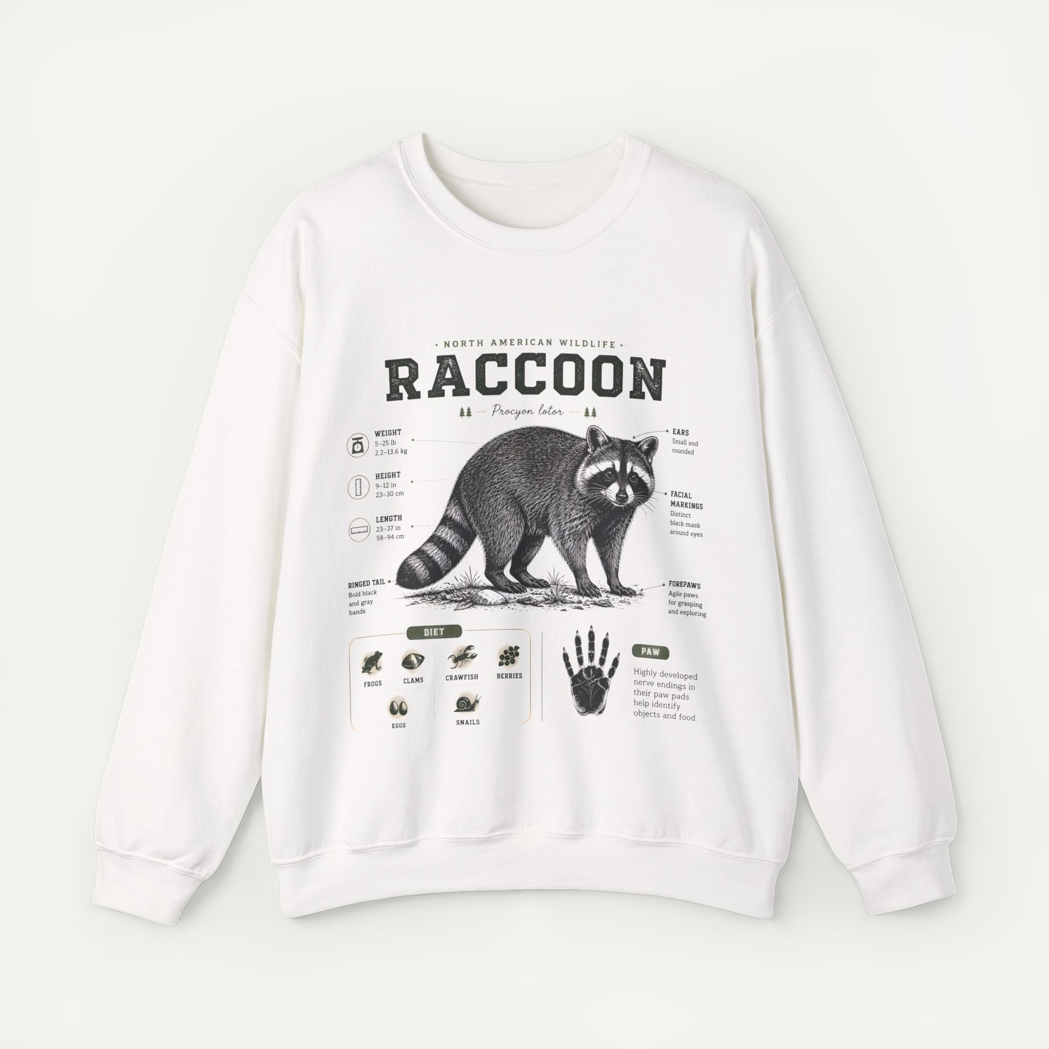 Raccoon Anatomy  Sweatshirt — Vintage Wildlife Illustration Secondary image