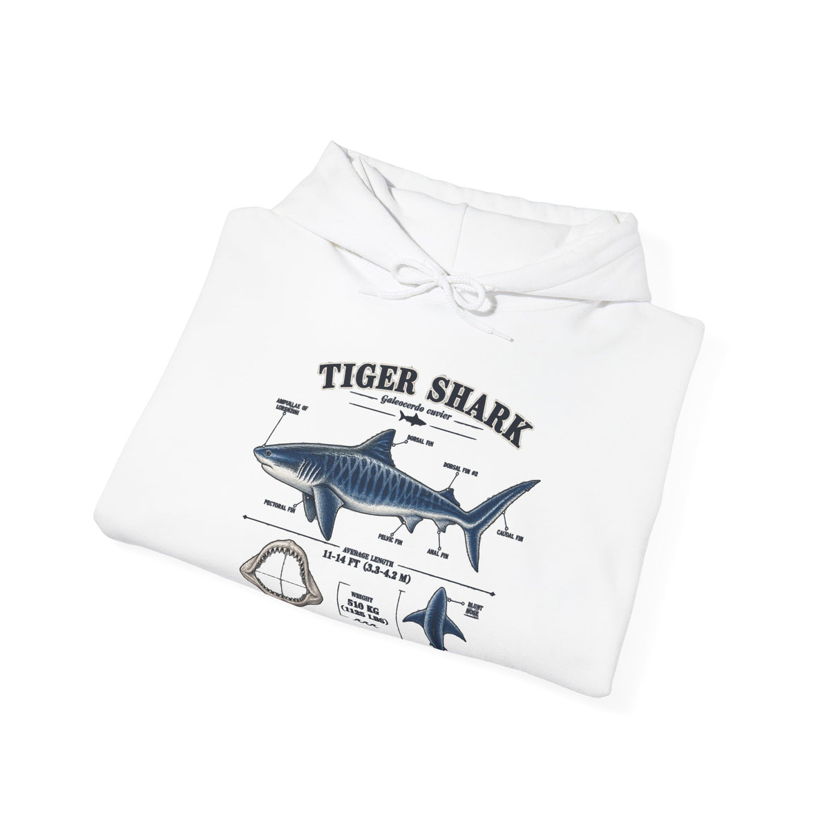 Tiger Shark Anatomy Hoodie — Nautical Science Graphic Pullover