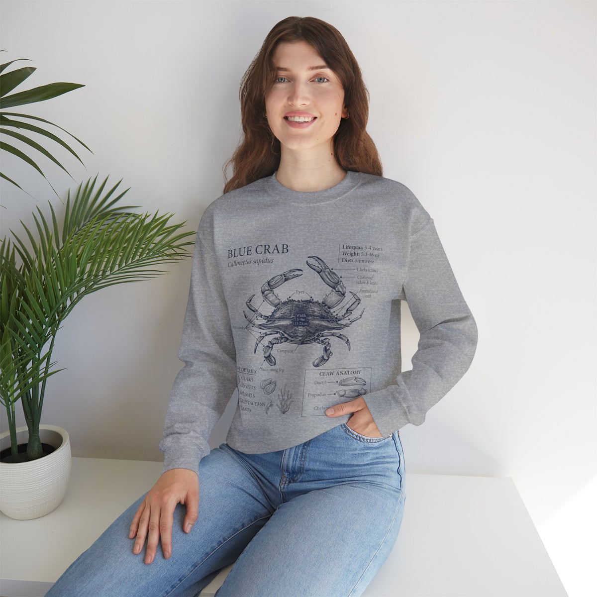 Blue Crab Anatomy Crewneck Sweatshirt – Marine Biology Graphic Pullover