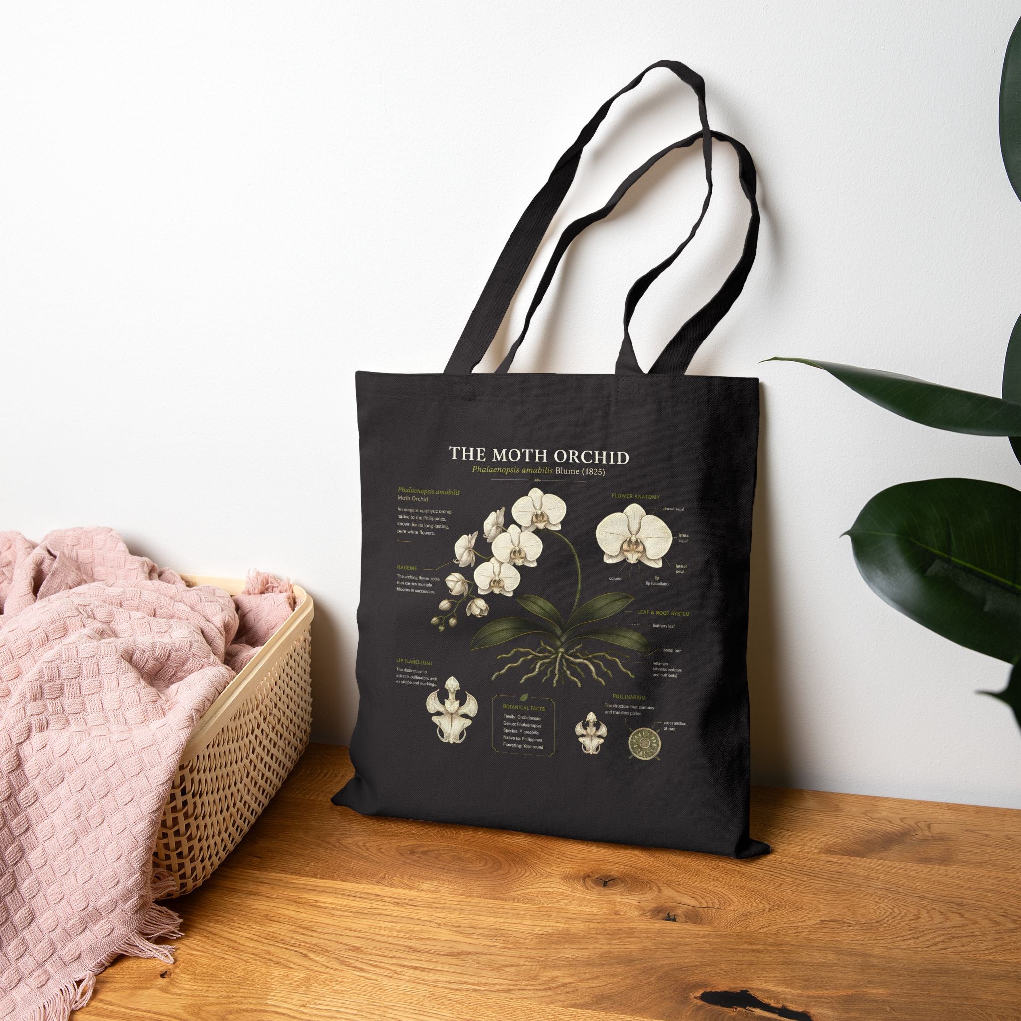 Moth Orchid Tote Bag — Botanical Diagram Canvas Shopper Secondary image