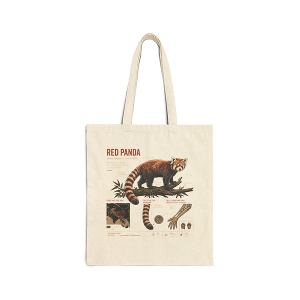 Red Panda Anatomy Canvas Tote Bag — Vintage Wildlife Illustration Eco Shopper