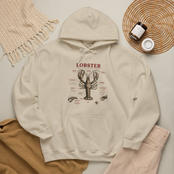 Lobster Anatomy Hoodie – Nautical Seafood Illustration Pullover