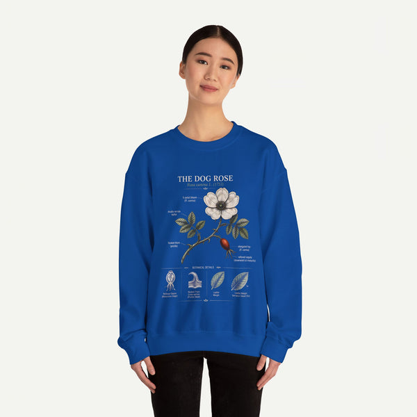 Dog Rose Botanical Sweatshirt — Vintage Floral Anatomy Crewneck