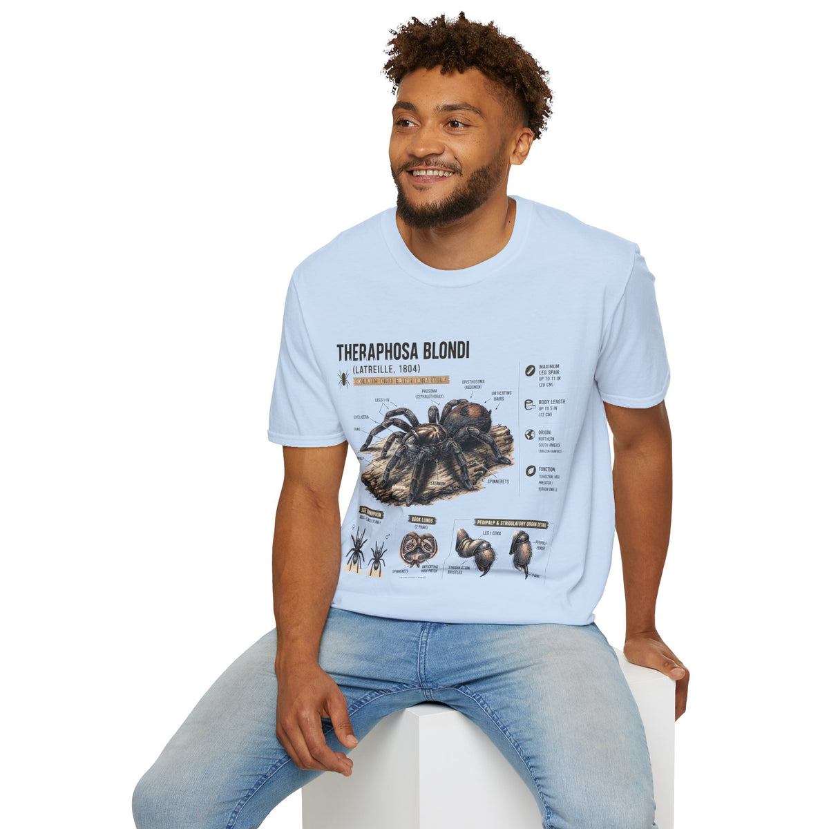Theraphosa blondi Tarantula T-Shirt — Spider Anatomy Educational Tee