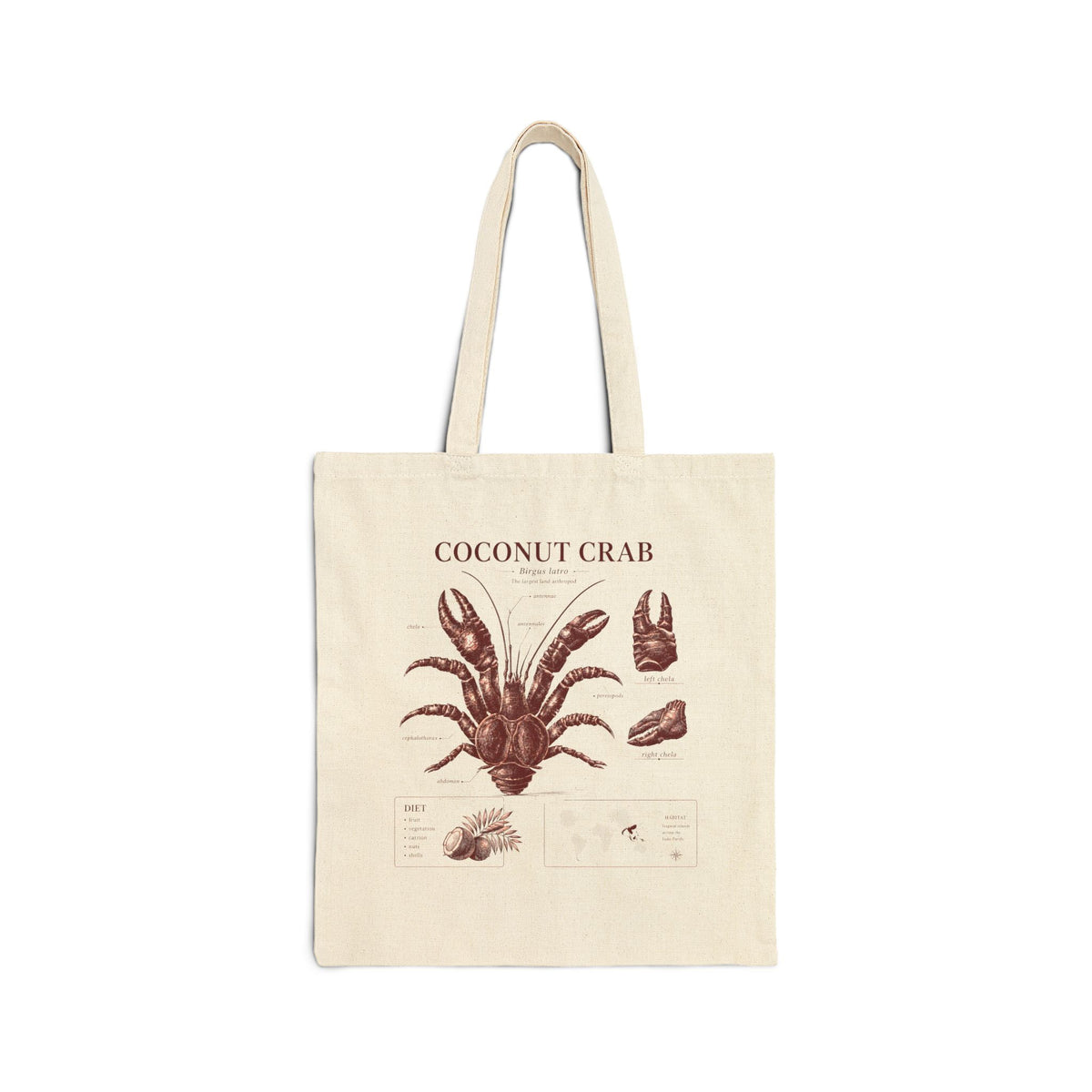 Coconut Crab Anatomy Tote — Vintage Marine Illustration Beach Bag
