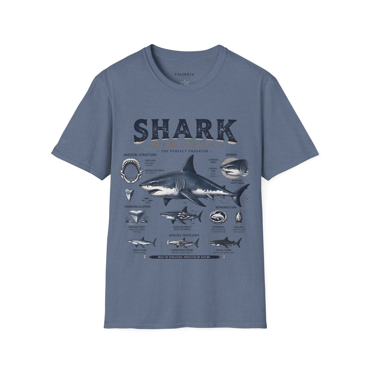Shark Biology T-Shirt — Vintage Anatomy Graphic Tee
