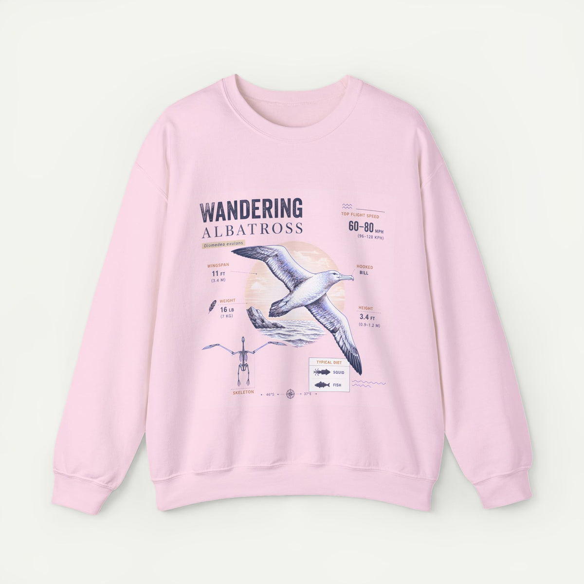 Wandering Albatross Anatomy Sweatshirt — Vintage Seabird Illustration