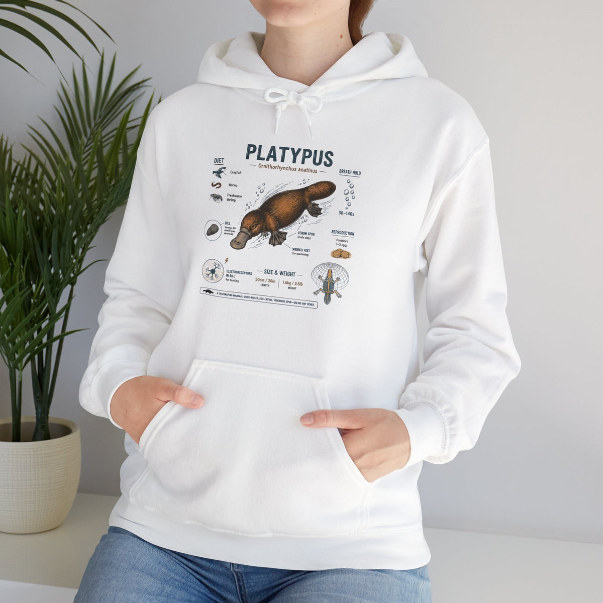 Platypus Anatomy Hoodie — Scientific Illustration Pullover for Nature Lovers