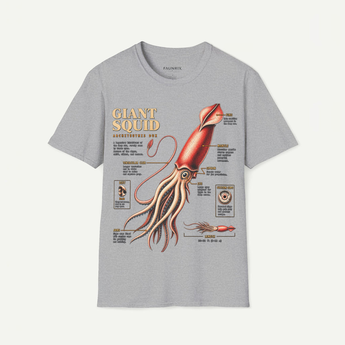 Squid Anatomy Graphic T-Shirt — 'Giant Squid' Vintage Scientific Illustration
