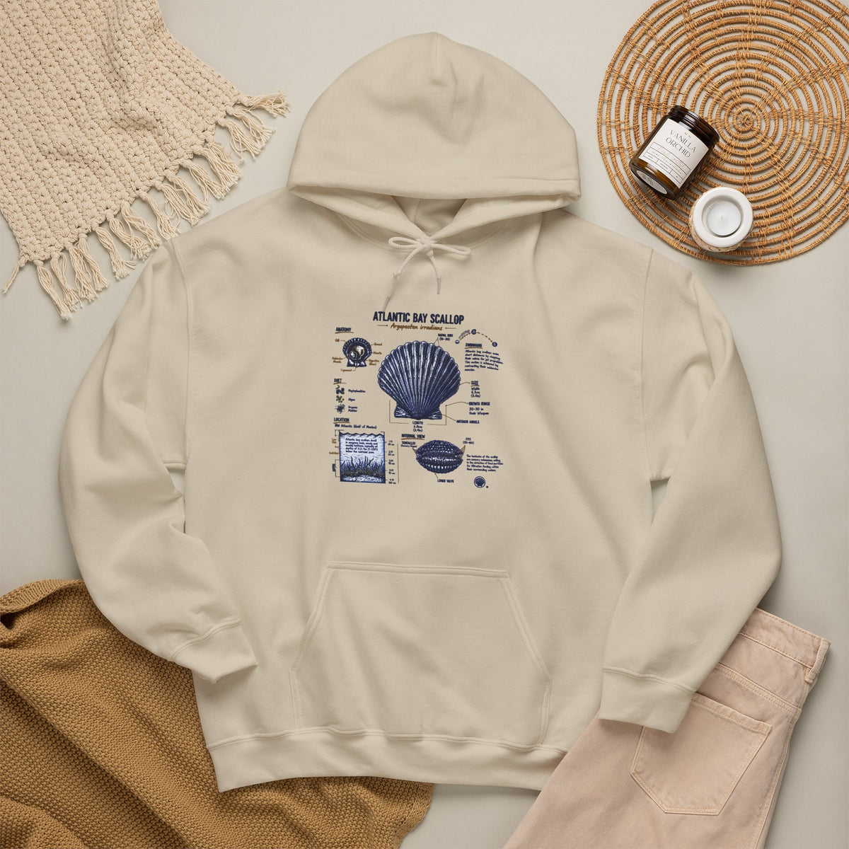 Seashell Anatomy Hoodie – Nautical Beach Diagram Sweatshirt