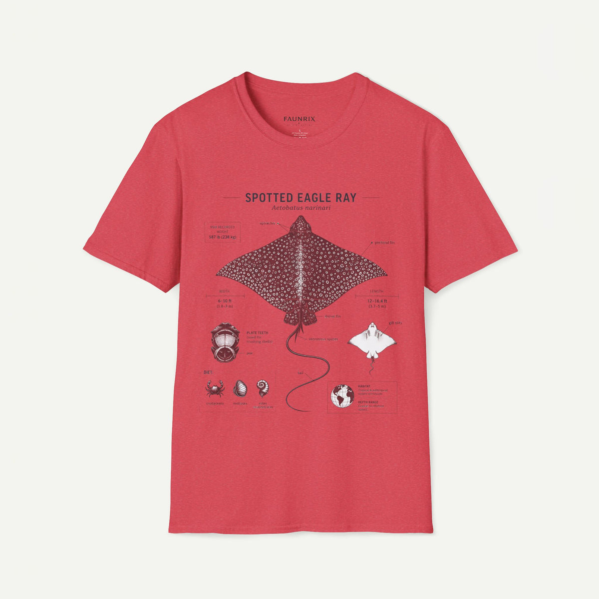 Spotted Eagle Ray Anatomy T-Shirt — Marine Life Graphic Tee