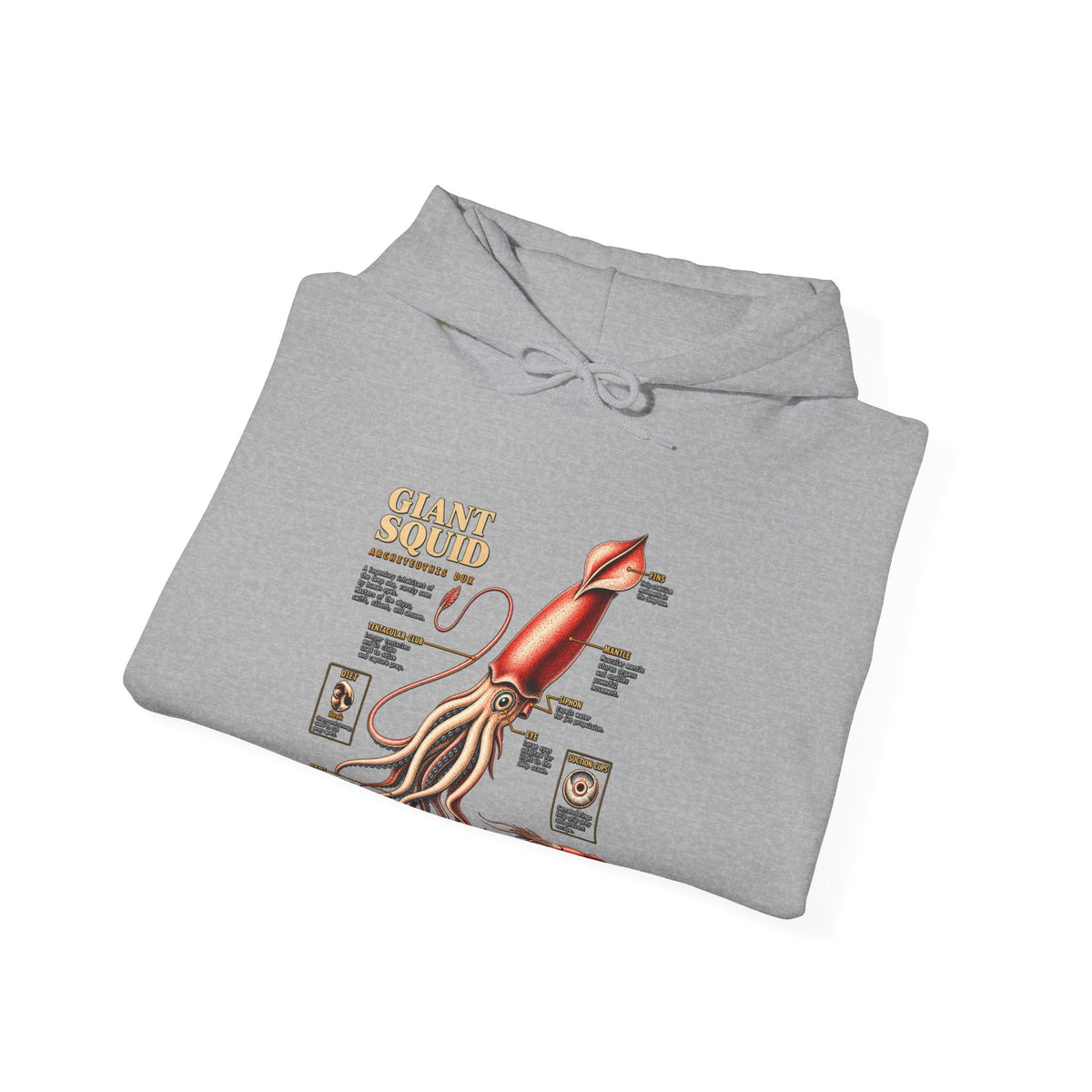 Squid Anatomy Hoodie — Vintage Scientific Illustration Pullover