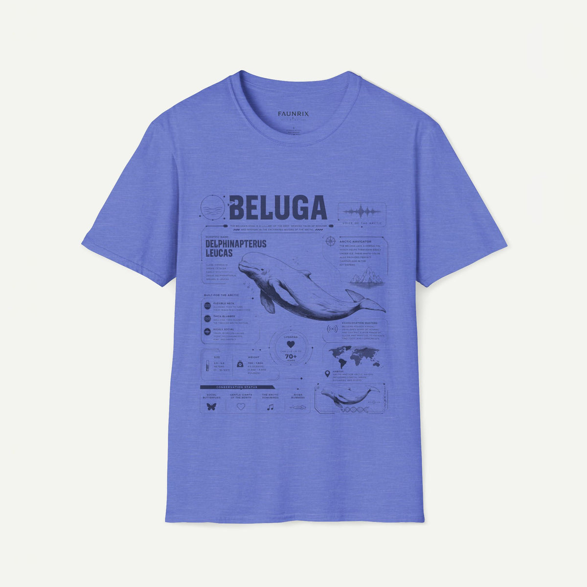 Beluga Whale Anatomy T-Shirt — Marine Life Illustration Tee Delphinapterus leucas