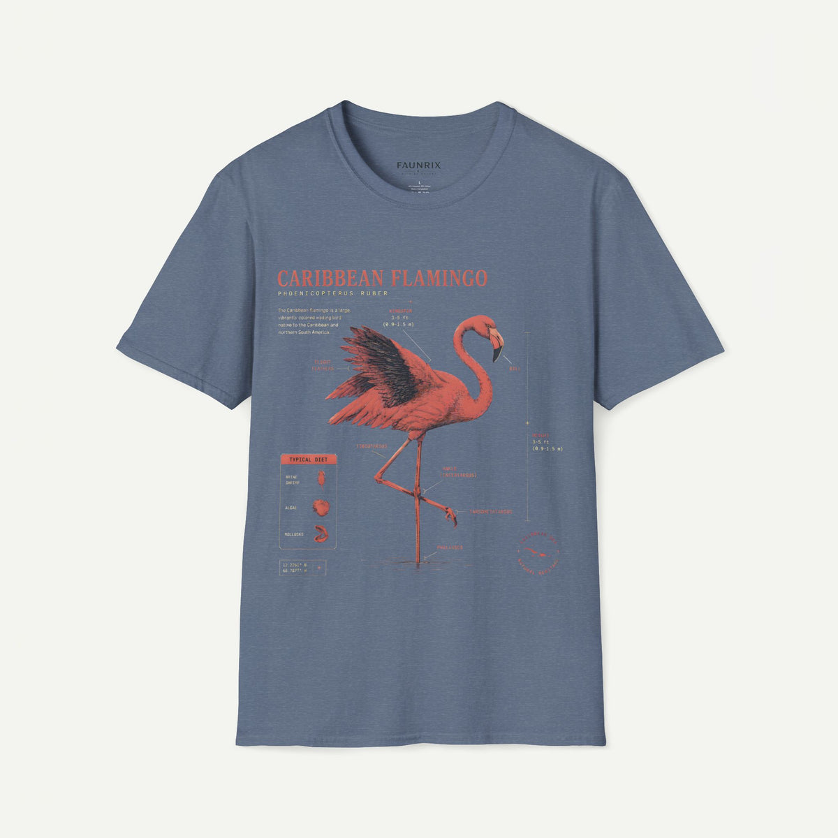 Flamingo Anatomy T-shirt — "Caribbean Flamingo" Vintage Tropical Tee